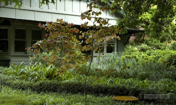 綠化 設(shè)計 景觀