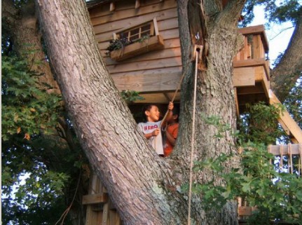 綠化 景觀 設(shè)計(jì)