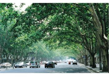 獨家專訪:張樹林談創(chuàng)園中應(yīng)該注意的問題