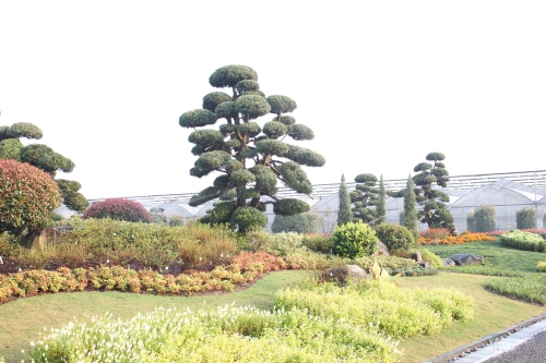 精彩圖集_游記攻略_風景旅游