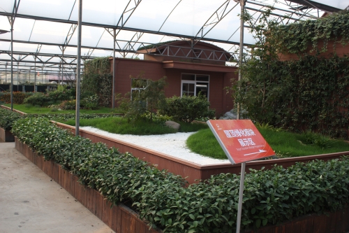 屋頂綠化模塊展示區