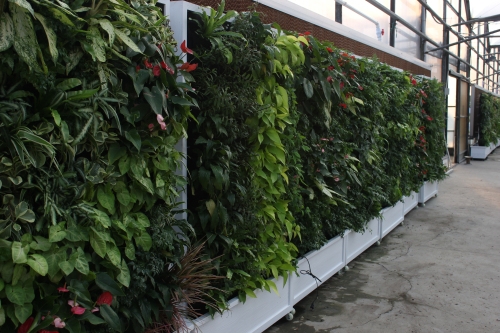 屋頂綠化模塊展示區