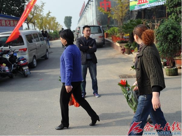 不少市民慕名來到苗交會現場購買自己喜愛的花草