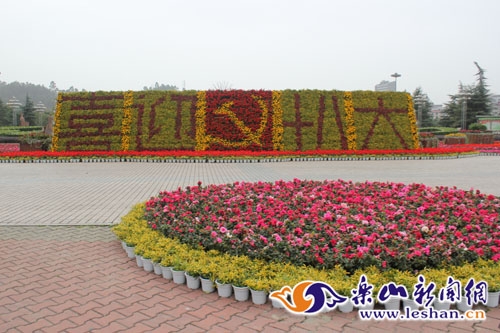 樂山廣場巨型“花塑”