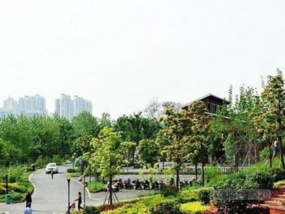 湘江風(fēng)光帶榮膺國(guó)際風(fēng)景園林師聯(lián)合會(huì)大獎(jiǎng)