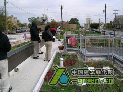 “活力城市”會議突出了屋頂和墻面綠化的成功