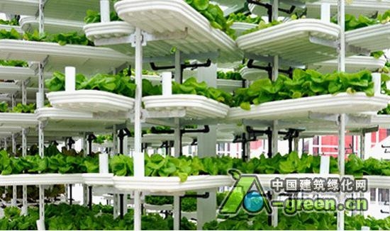 加拿大的第一個(gè)垂直農(nóng)場(chǎng)