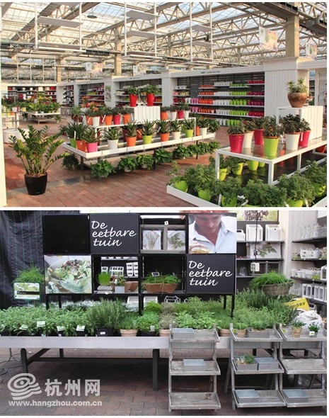 超市模式的室內展示區