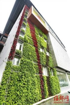 全生態垂直綠化景觀墻現身福州