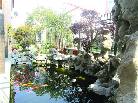 資深園藝師教你打造家庭微花園