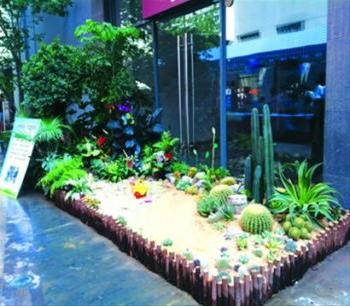 上海徐匯擬推廣校園生態植物園