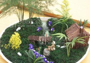 苔蘚的“小世界”