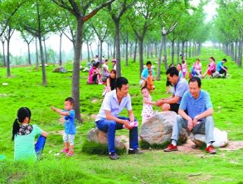 丹江口市在漢江兩岸實施綠化亮化工程