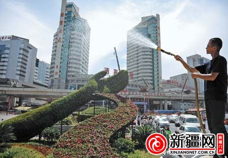 烏魯木齊:引入新植被為城市綠化添彩