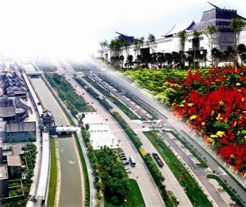 天津:生態北塘多種植物造型美觀