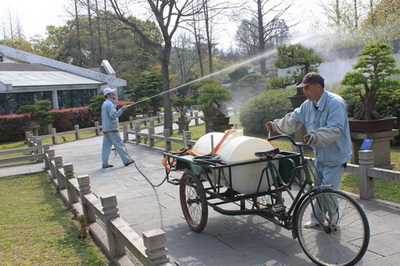盆景防暑降溫 養護