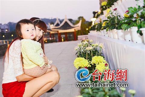 第二屆菊花品種展暨盆景觀賞石展在芝山公園開幕