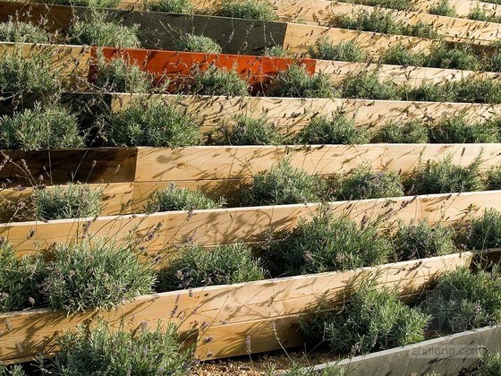 西班牙桑坦德濕地公園