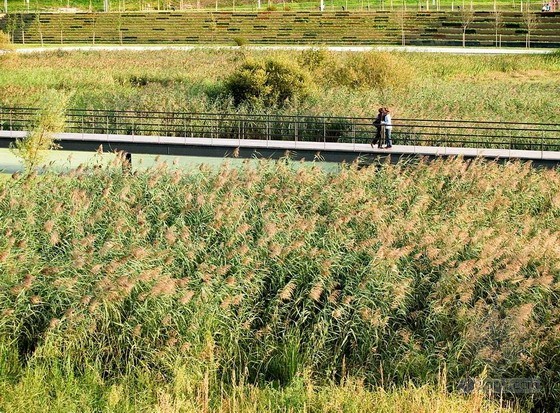 西班牙桑坦德濕地公園