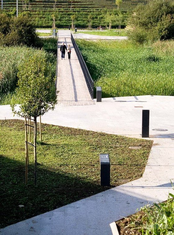 西班牙桑坦德濕地公園