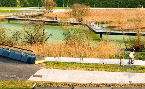 西班牙桑坦德濕地公園