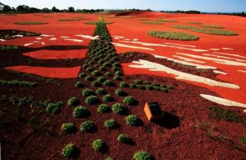 穿越澳洲：Cranbourne皇家植物園之澳大利亞花園設計
