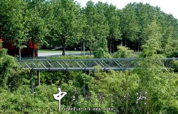 亞歷山大?謝梅道夫(一):拉維萊特公園—竹園