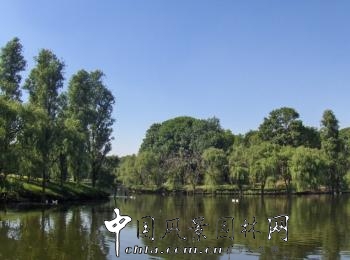 馬里奧?謝赫楠(一)：墨西哥泰佐佐莫克公園(組圖)