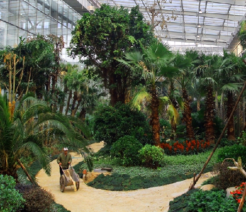 河北:保定生態園添新彩 90余種熱帶植物入駐植物館