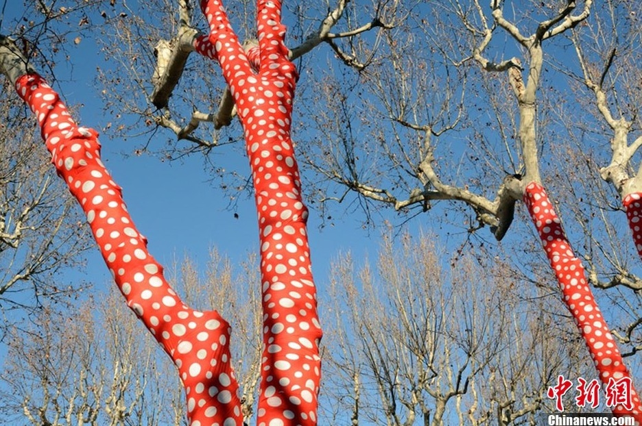 藝術(shù)家扮靚冬日街頭 為樹木穿上橙色圓點外衣