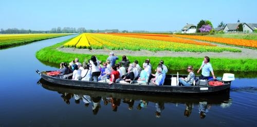 人們在郁金香花田泛舟