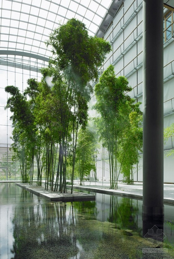 德國漢莎航空公司 公共空間|規劃設計 