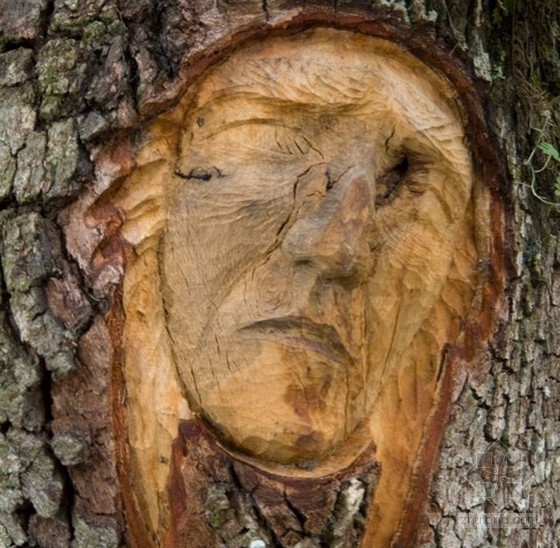 森林樹(shù)雕 建筑小品|規(guī)劃設(shè)計(jì) 中國(guó)風(fēng)景園林網(wǎng)