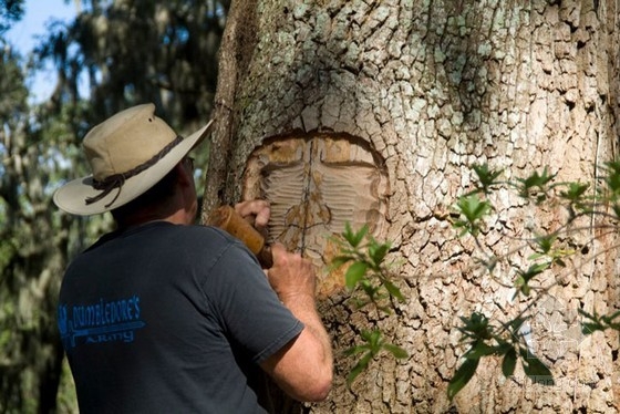 森林樹(shù)雕 建筑小品|規(guī)劃設(shè)計(jì) 中國(guó)風(fēng)景園林網(wǎng)