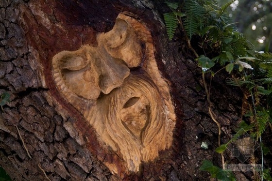 森林樹(shù)雕 規(guī)劃設(shè)計(jì)|規(guī)劃設(shè)計(jì) 中國(guó)風(fēng)景園林網(wǎng)