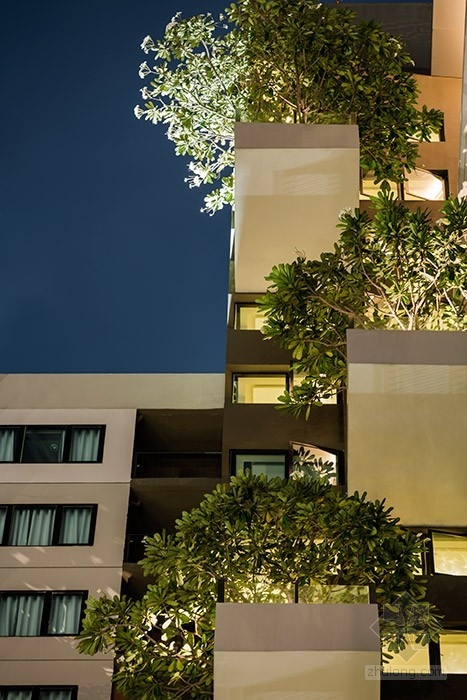 Shma設計的綠植景觀 公共空間|規劃設計 中國風景園林網