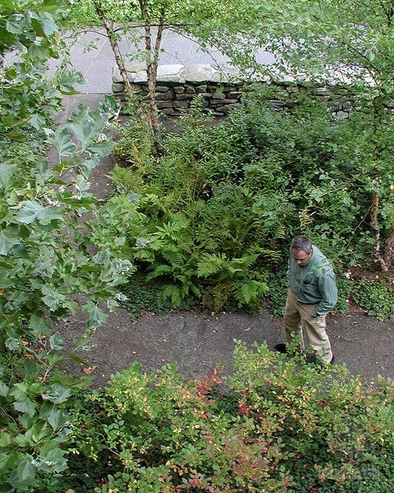 基恩州立科學中心庭院設計 單位綠化|規劃設計 中國風景園林網