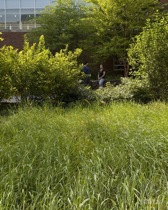 基恩州立科學中心庭院設計 單位綠化|規劃設計 中國風景園林網