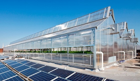 Gotham Green設計的屋頂農場 公共空間|規劃設計 中國風景園林網