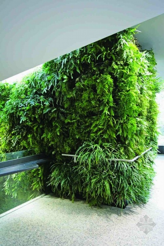 阿德萊德動物園