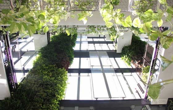 新加坡懸掛花園