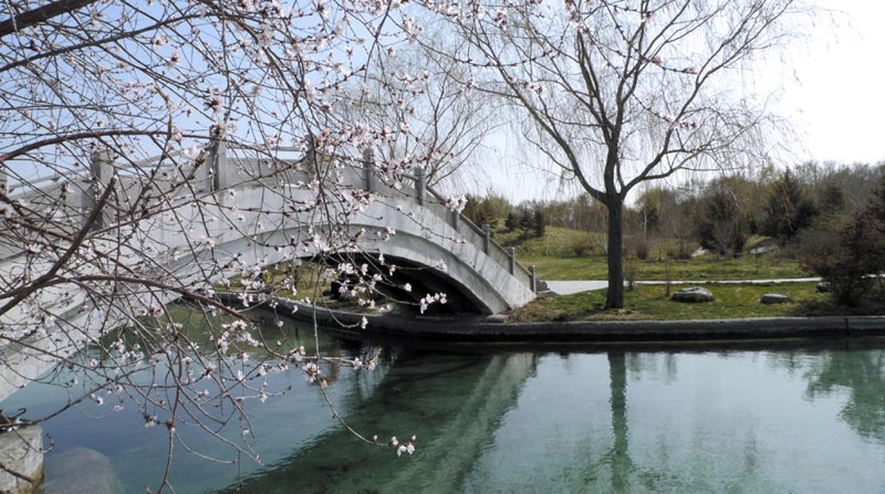 新疆：烏魯木齊市植物園賞花節受質疑