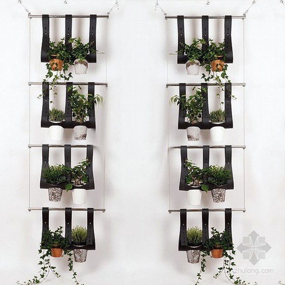 漂亮的懸掛式綠植系統 中國風景園林網