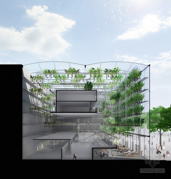 巴黎城市垂直香蕉種植園 中國風景園林網