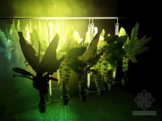 巴黎城市垂直香蕉種植園 中國風景園林網