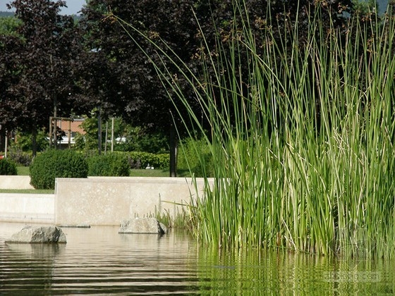 Garten Studio事務所設計的Graphisoft公園