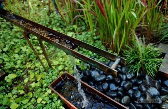 不用澆水的花園