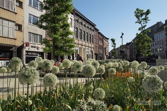 OKRA景觀事務所設計的Korenmarkt廣場