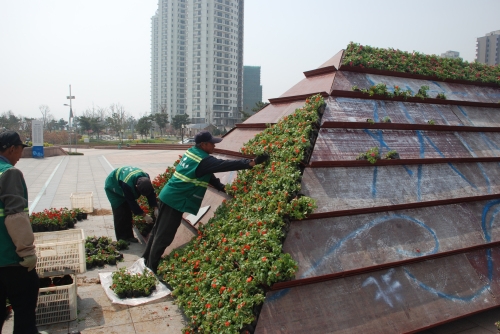 山東榮成：立體花架首次亮相城區濱海公園
