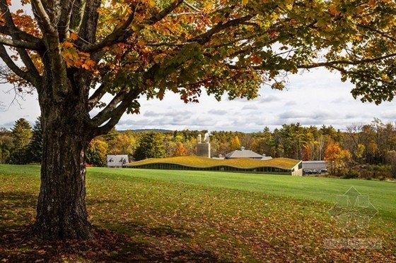 Hotchkiss學(xué)校綠色起伏屋頂